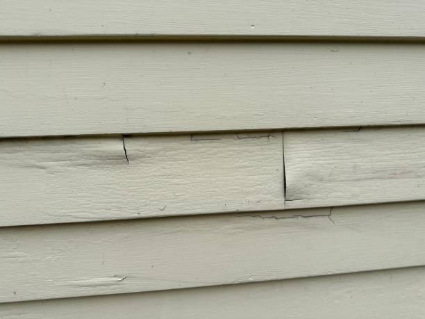 Best Shed Removal  in Monongahela, PA